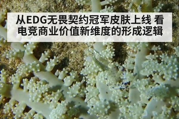 从EDG无畏契约冠军皮肤上线 看电竞商业价值新维度的形成逻辑